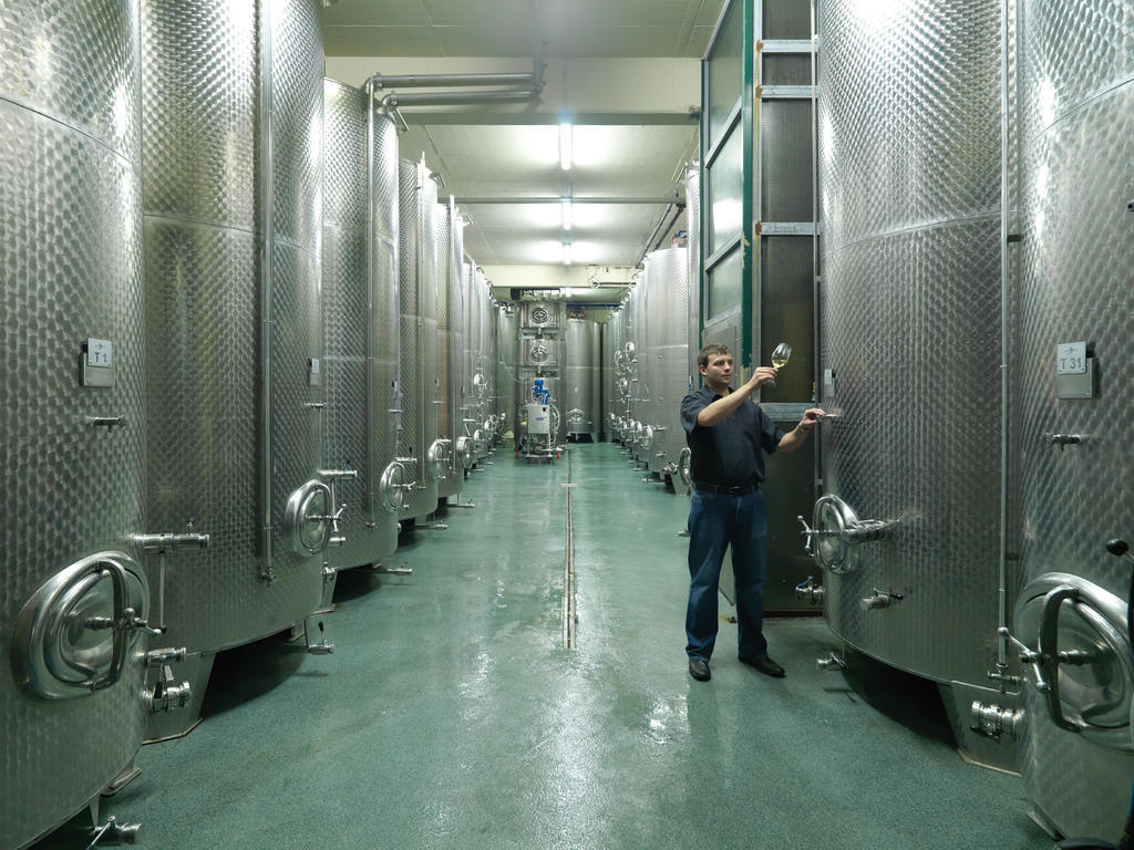 Weingut Skoff Original Hotel กัมลิทซ์ ภายนอก รูปภาพ