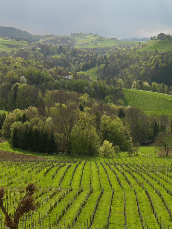 Weingut Skoff Original Hotel กัมลิทซ์ ภายนอก รูปภาพ